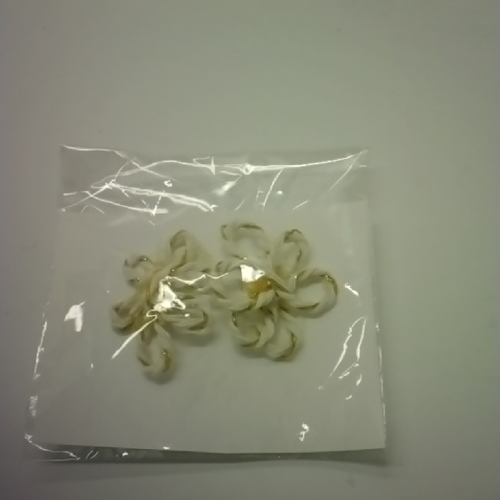 Lorena Espinoza Design Gold Earrings